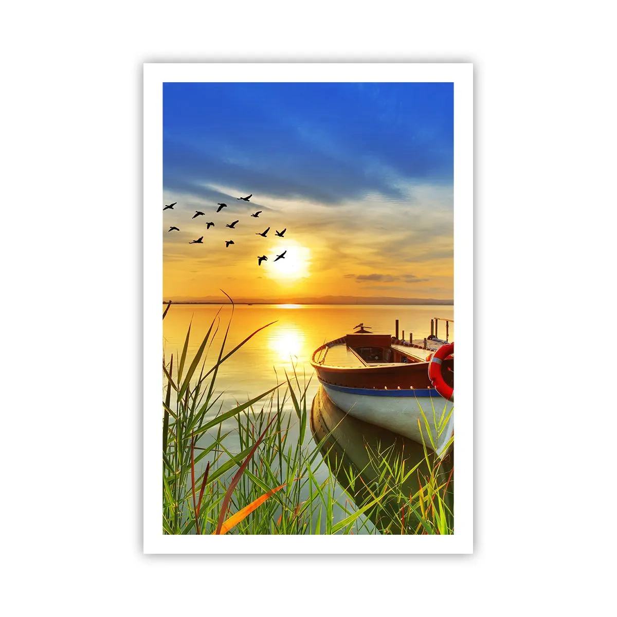 Plakat - Kormorany odlatują już - 61x91 cm