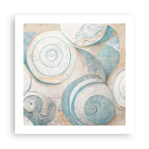 Plakat - Co kryje muszla? - 50x50 cm