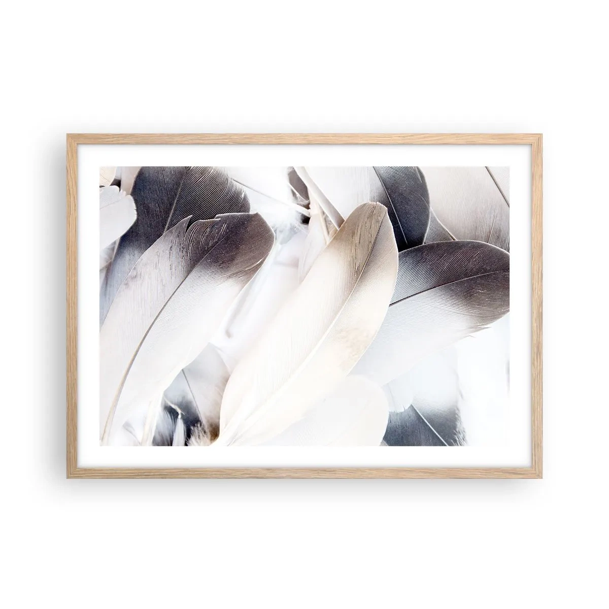 Plakat w ramie jasny dąb - Niemal anielskie - 70x50 cm