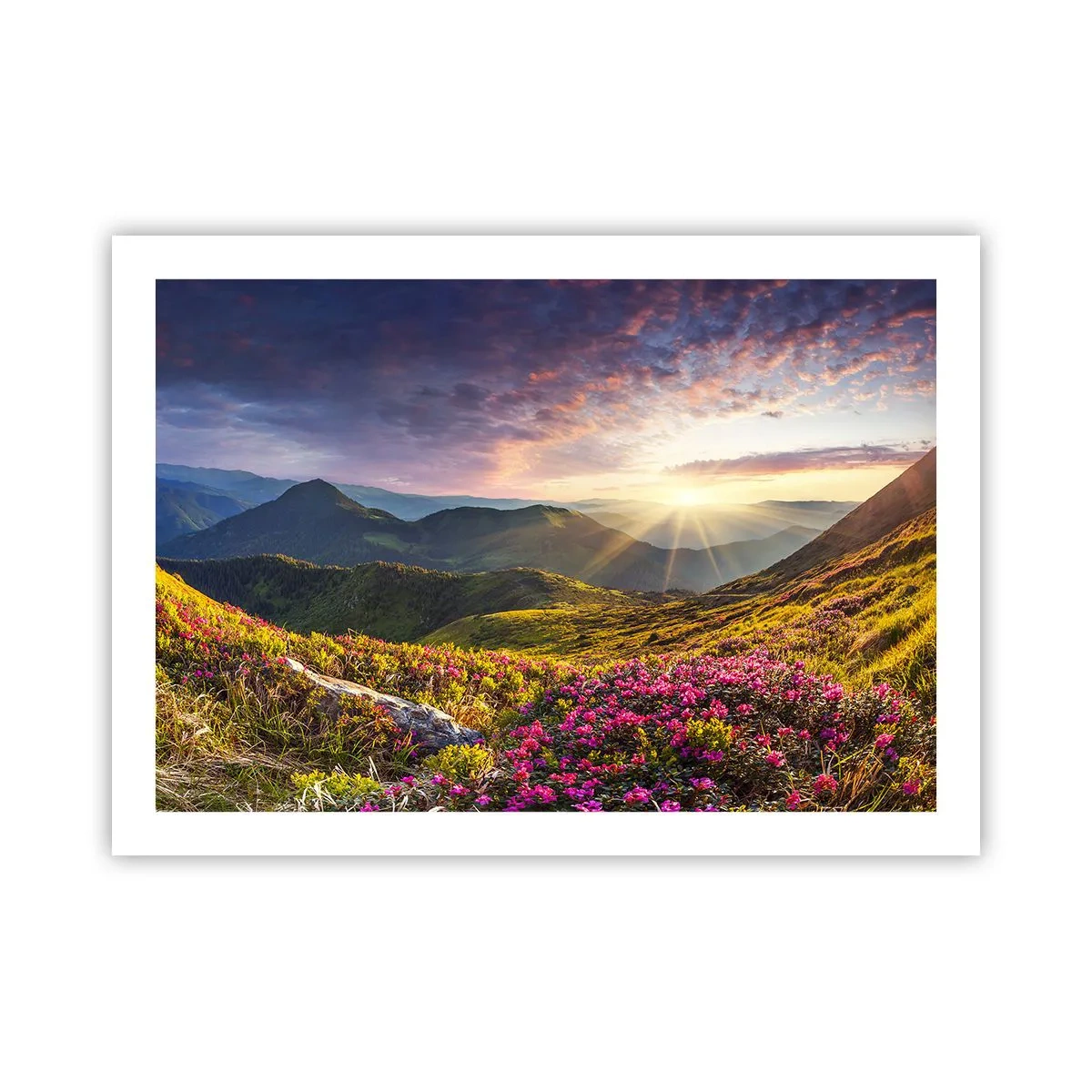 Plakat - Świeżość górskiego poranka - 70x50 cm