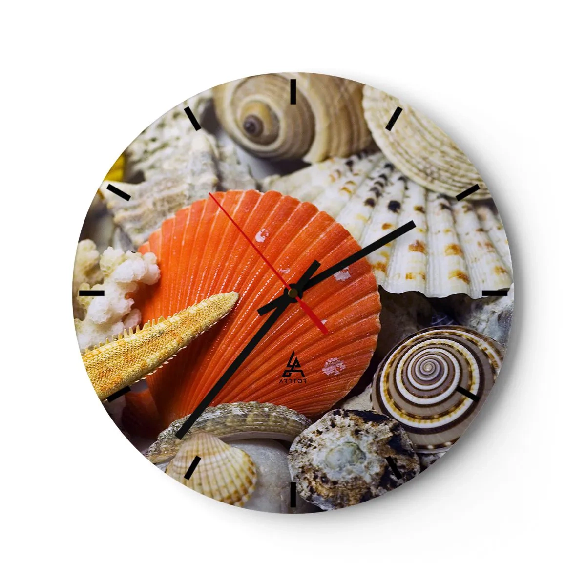 Zegar ścienny - Muszle i rozgwiazdy w naturalnych barwach na zbliżeniu - 30x30cm - Skarby oceanu - Nowoczesna dekoracja ścienna do salonu, kuchni i sypialni ARTTOR