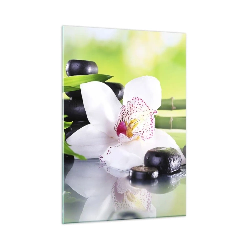 Obraz na szkle - Orchidea, bambus i czarne kamienie na tle zieleni - 50x70cm - Chłodna świeżość - Nowoczesna dekoracja ścienna do salonu, kuchni i sypialni ARTTOR