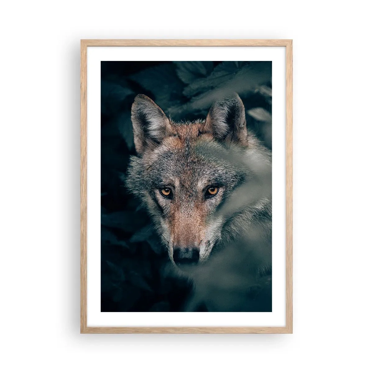 Plakat w ramie jasny dąb - Łowca - 50x70 cm