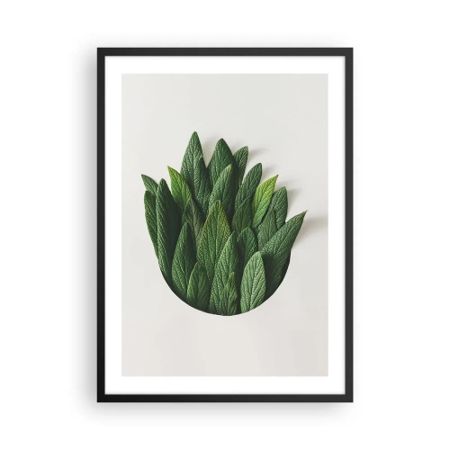 Plakat w czarnej ramie - Liście w artystycznej kompozycji na białym tle - 50x70cm - Nieposkromiona ciekawość - Nowoczesna dekoracja ścienna do salonu i sypialni ARTTOR