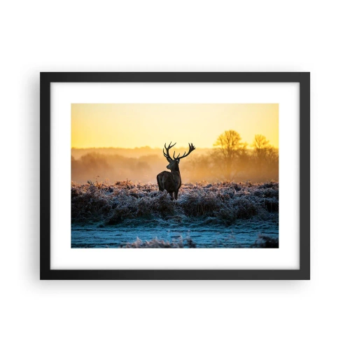 Plakat w czarnej ramie - Koronowany na swoich włościach - 40x30 cm