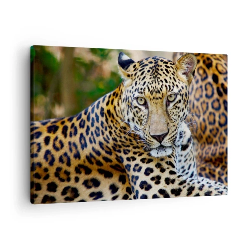 Obraz na płótnie - Jaguar odpoczywający w naturalnym otoczeniu z zielonym tłem. - 70x50cm - Dziki i spokojny - Nowoczesna dekoracja ścienna do salonu i sypialni ARTTOR