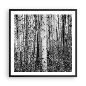 Plakat w czarnej ramie - Brzozowa kolumnada - 60x60 cm