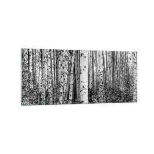 Obraz na szkle - Czarno-białe brzozy w lesie - 120x50cm - Brzozowa kolumnada - Nowoczesna dekoracja ścienna do salonu i sypialni ARTTOR