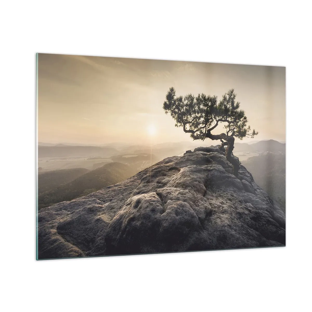 Obraz na szkle - Drzewo na skale w świetle wschodzącego słońca - 100x70cm - Życie zawsze zwycięża - Nowoczesna dekoracja ścienna do salonu, kuchni i sypialni ARTTOR