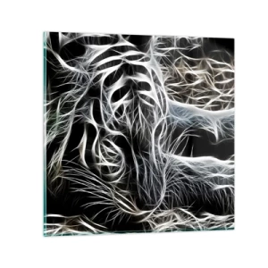 Obraz na szkle - Studium kociej lekkości - 70x70 cm