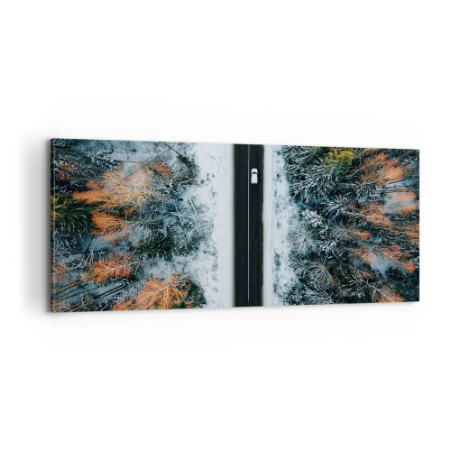 Obraz na płótnie - Przeciąć zimowy las - 100x40 cm
