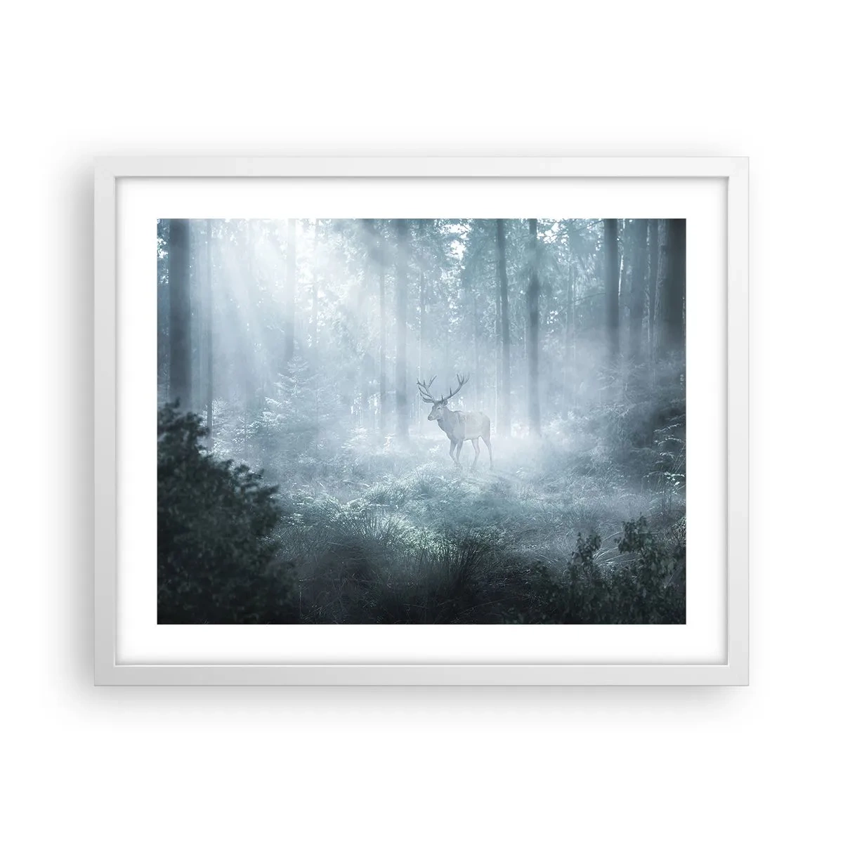 Plakat w białej ramie - Poranny obchód włości - 50x40 cm