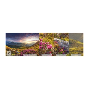 Fototapeta Próbka Premium Canvas - Świeżość górskiego poranka - Krajobraz, Góry, Kwiaty - 100x30 cm