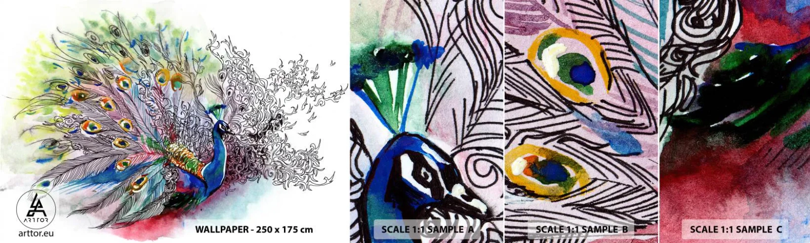 Fototapeta Próbka Standard Eco - Z dumą przeciw szarości - Ptak, Paw, Pióra - 100x30 cm