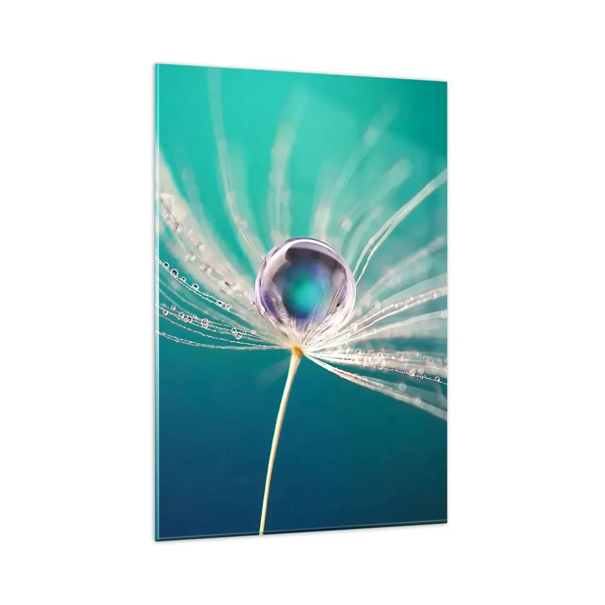 Obraz na szkle - Makro kropla wody na delikatnym nasionku dmuchawca - 80x120cm - Mistyczna chwila - Nowoczesna dekoracja ścienna do salonu i sypialni ARTTOR