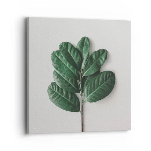 Obraz na płótnie - Rysunek samej natury - 40x40 cm