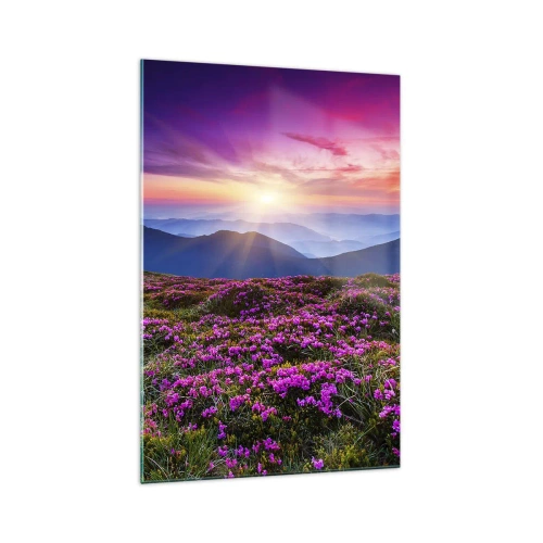 Obraz na szkle - Górska łąka z kwiatami o zachodzie słońca - 70x100cm - Ziół zapachniały świeże pęki od niw - Nowoczesna dekoracja ścienna do salonu i sypialni ARTTOR