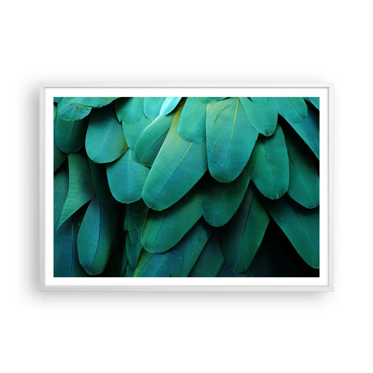 Plakat w białej ramie - Precyzja papuziej natury - 100x70 cm