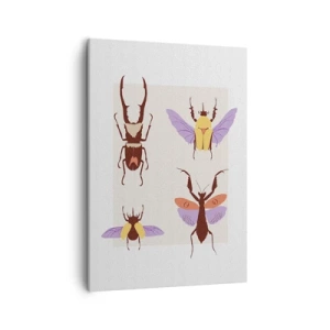 Obraz na płótnie - Minimalistyczna ilustracja różnych gatunków chrząszczy na jasnym tle - 50x70cm - Owadzi świat - Nowoczesna dekoracja ścienna do salonu, kuchni i sypialni ARTTOR