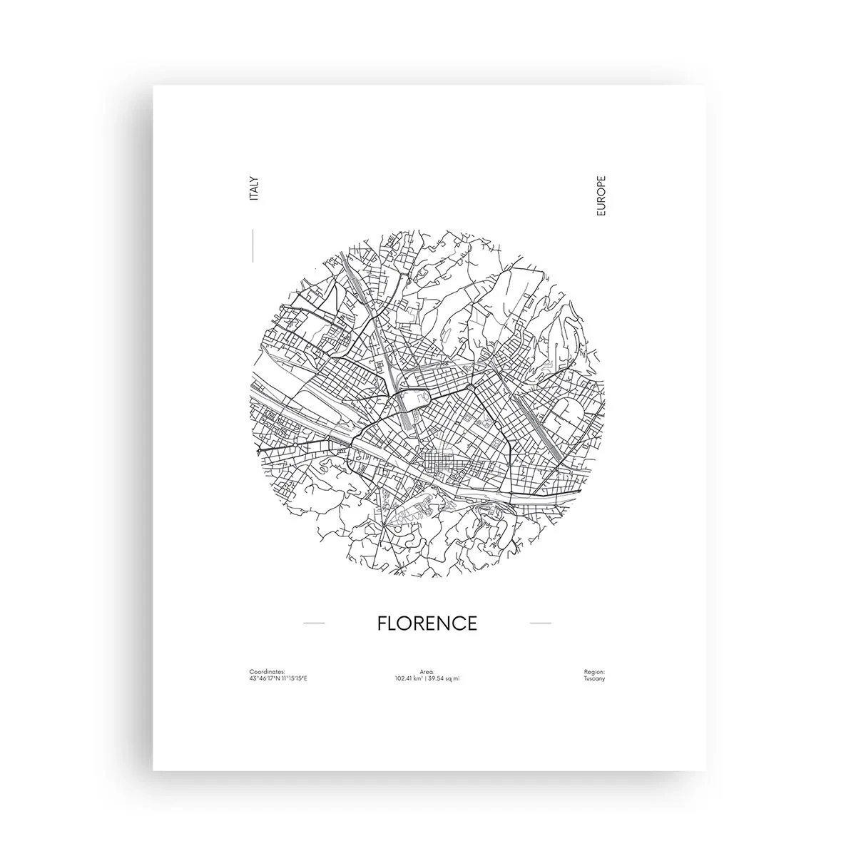 Plakat - Anatomia Florencji - 40x50 cm