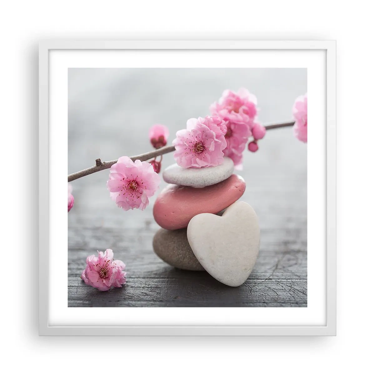 Plakat w białej ramie - Błogość z kwiatem wiśni - 50x50 cm