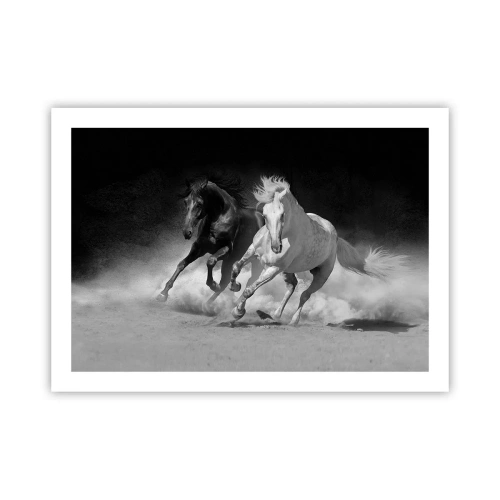 Plakat - Galop wolności - 70x50 cm