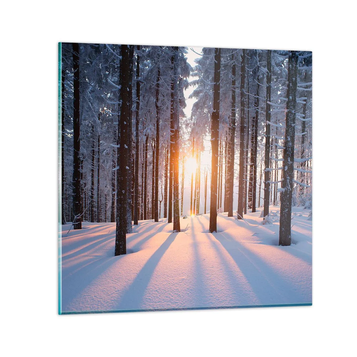 Obraz na szkle - Wyraźnie czarno na białym - 60x60 cm