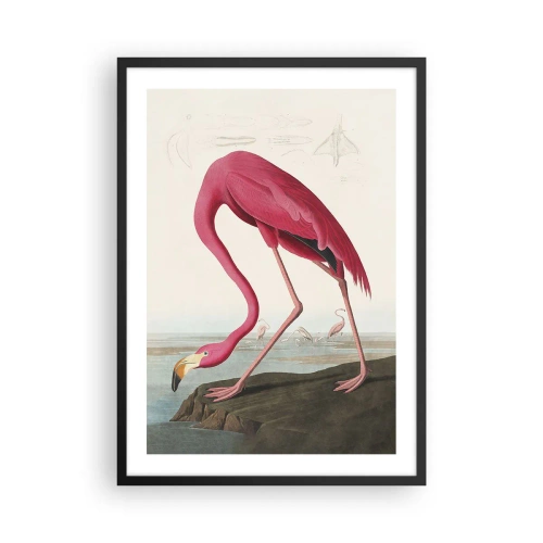 Plakat w czarnej ramie - Różowy flaming na tle naturalnego krajobrazu - 50x70cm - Zadziwiające stworzenie - Nowoczesna dekoracja ścienna do salonu i sypialni ARTTOR
