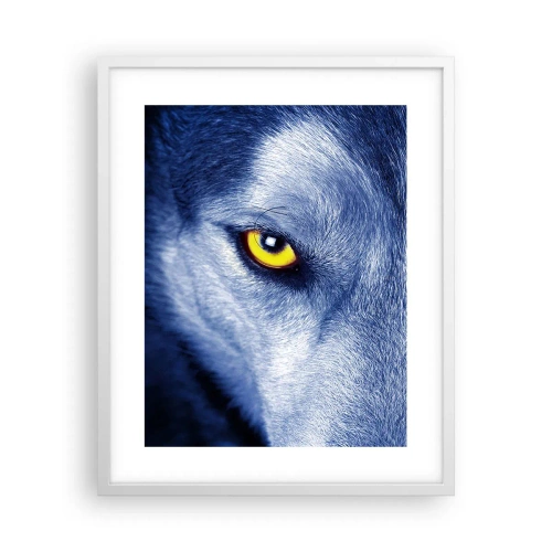 Plakat w białej ramie - Hipnotyzujące spojrzenie - 40x50 cm
