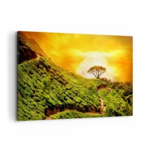 Obraz na płótnie - Zielone wzgórza plantacji herbaty o zachodzie słońca - 120x80cm - Krętą ścieżką, zielonym zboczem - Nowoczesna dekoracja ścienna do salonu, kuchni i sypialni ARTTOR
