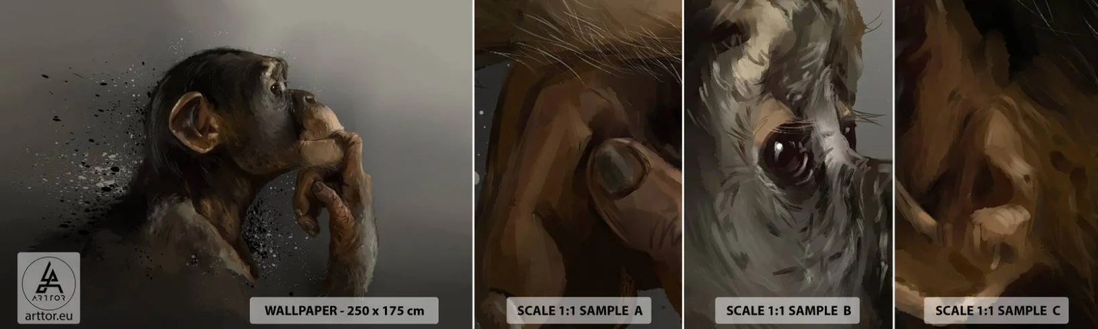 Fototapeta Próbka Samoprzylepna Deluxe Sticker - Z pewnością myśliciel - Zwierzęta, Małpa, Sztuka - 100x30 cm