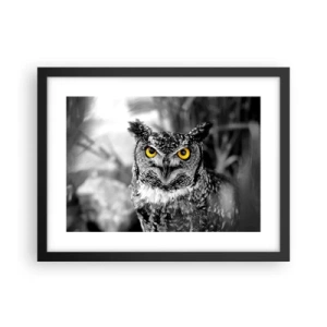 Plakat w czarnej ramie - Nic się nie ukryje - 40x30 cm