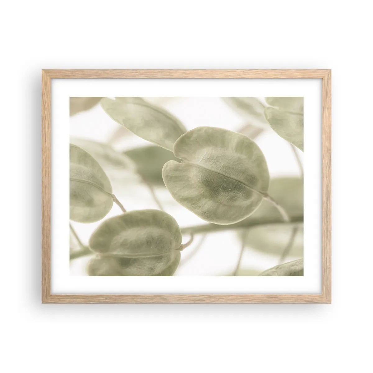 Plakat w ramie jasny dąb - Na początku były listki… - 50x40 cm