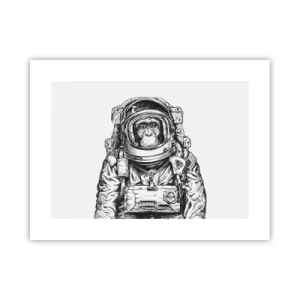Plakat - Alternatywna ewolucja - 40x30 cm