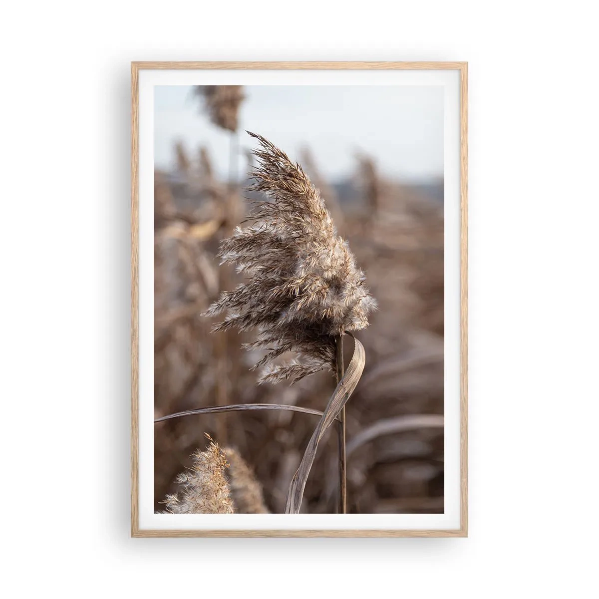 Plakat w ramie jasny dąb - Czas odlecieć z wiatrem - 70x100 cm