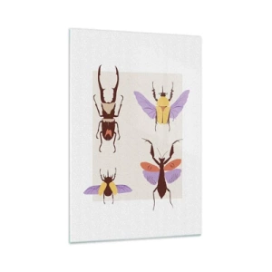 Obraz na szkle - Minimalistyczna ilustracja różnych gatunków chrząszczy na jasnym tle - 70x100cm - Owadzi świat - Nowoczesna dekoracja ścienna do salonu i sypialni ARTTOR