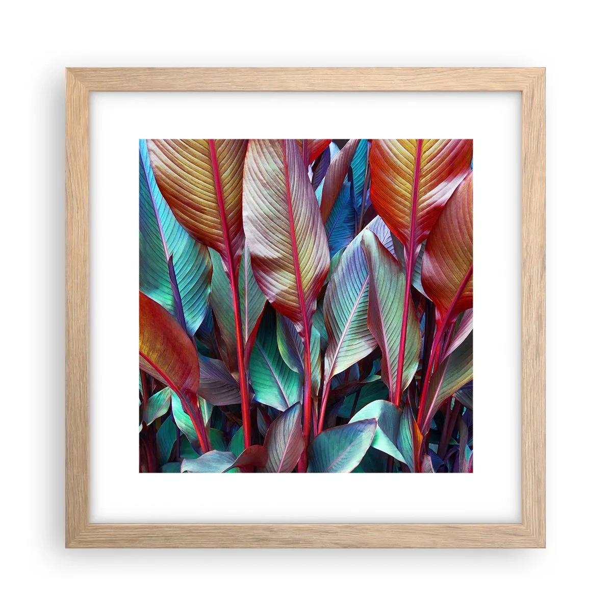 Plakat w ramie jasny dąb - Kolorowy gąszcz - 30x30 cm