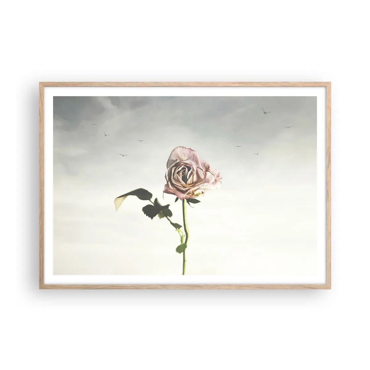 Plakat w ramie jasny dąb - Powitanie wiosny - 100x70 cm
