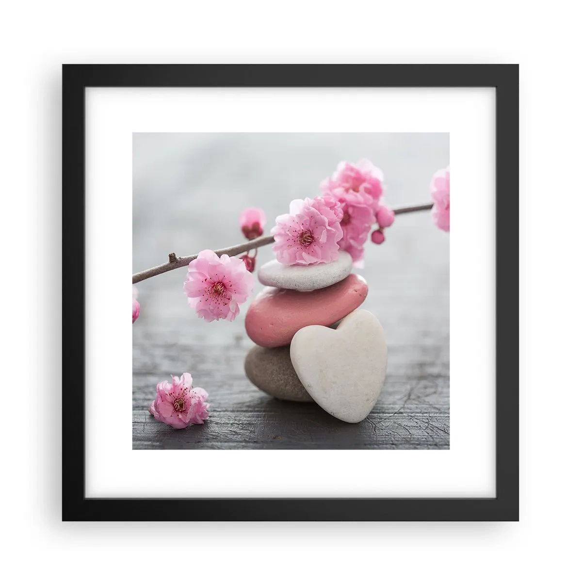 Plakat w czarnej ramie - Błogość z kwiatem wiśni - 30x30 cm