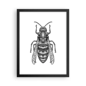 Plakat w czarnej ramie - Z owadziej planety - 30x40 cm