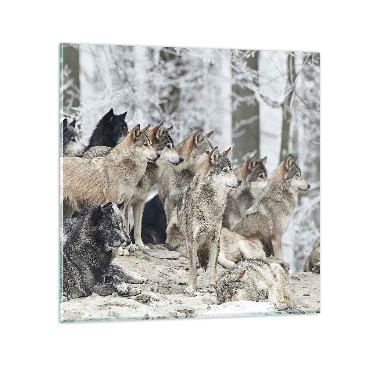 Obraz na szkle - Rodzina i przyjaciele - 30x30 cm