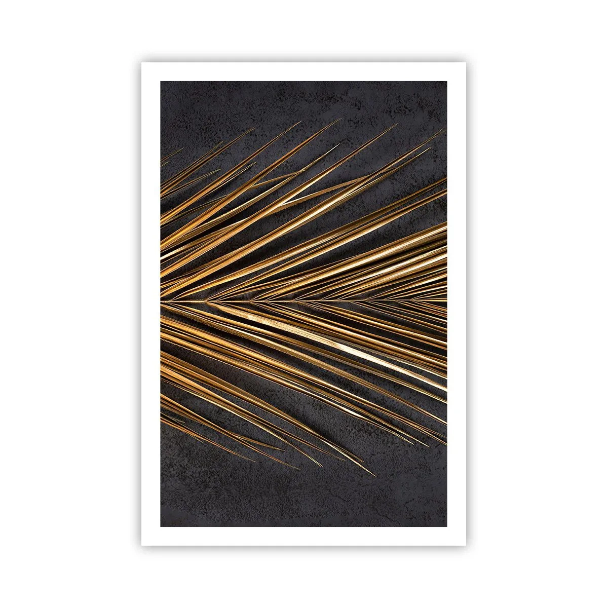 Plakat - Złoto tropików - 61x91 cm