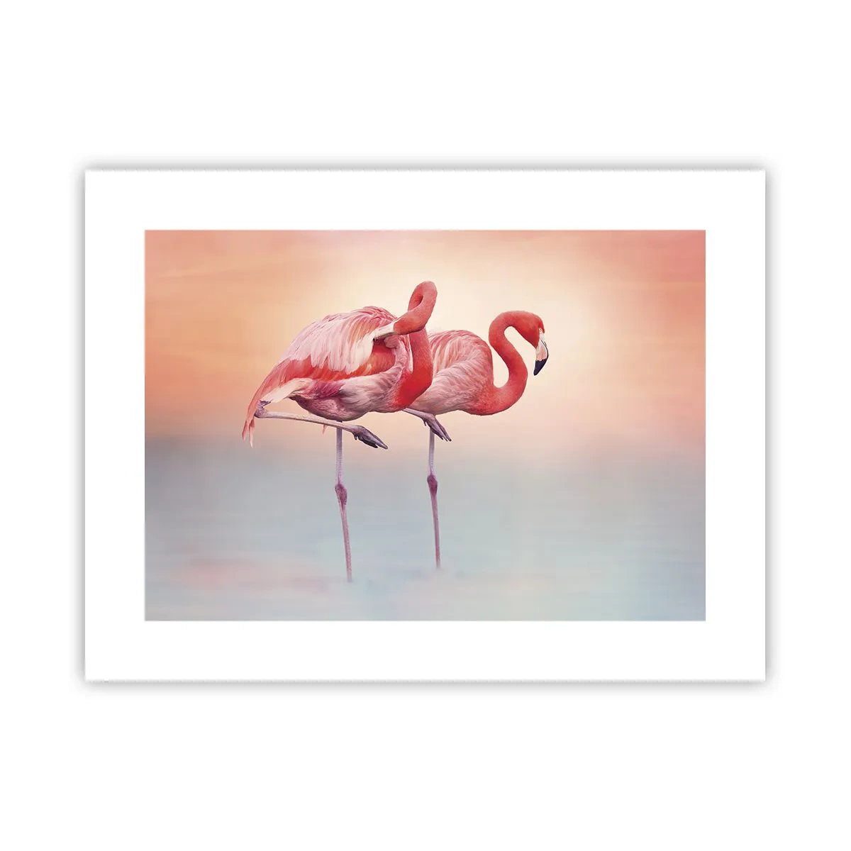 Plakat - W kolorze zachodzącego słońca - 40x30 cm