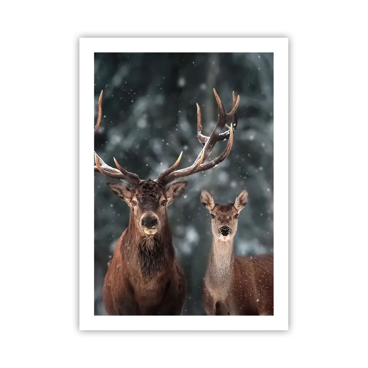 Plakat - Para jeleni na tle zimowego lasu - 50x70cm - Pan lasu z małżonką - Nowoczesna dekoracja ścienna do salonu, kuchni i sypialni ARTTOR
