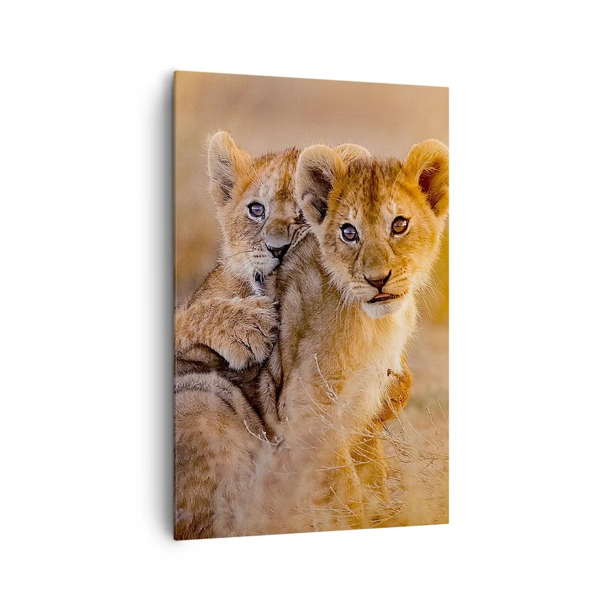 Obraz na płótnie - Urocze lwiątka w naturalnym otoczeniu - 80x120cm - Nie przeszkadzać! Bawimy się - Nowoczesna dekoracja ścienna do salonu i sypialni ARTTOR