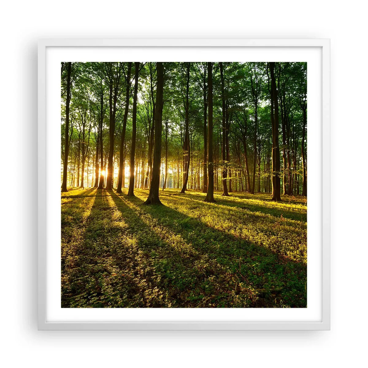 Plakat w białej ramie - Fotografia wszystkich wiosen - 60x60 cm