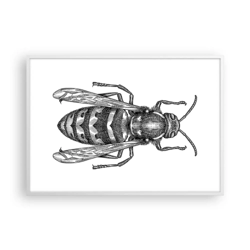 Plakat w białej ramie - Z owadziej planety - 100x70 cm