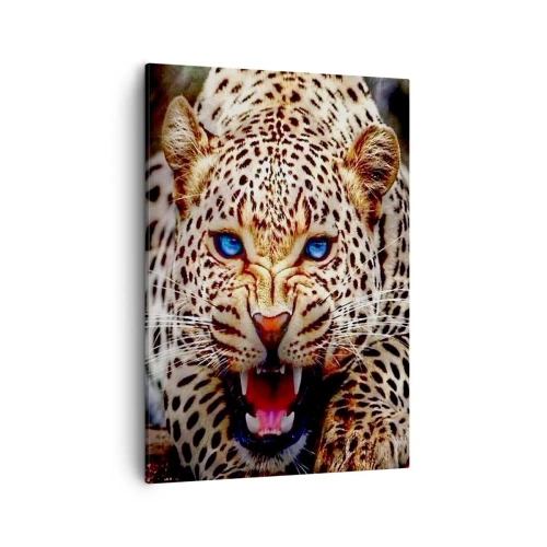 Obraz na płótnie - Gepard z niebieskimi oczami w dynamicznej pozie - 50x70cm - Złość piękności nie szkodzi - Nowoczesna dekoracja ścienna do salonu, kuchni i sypialni ARTTOR