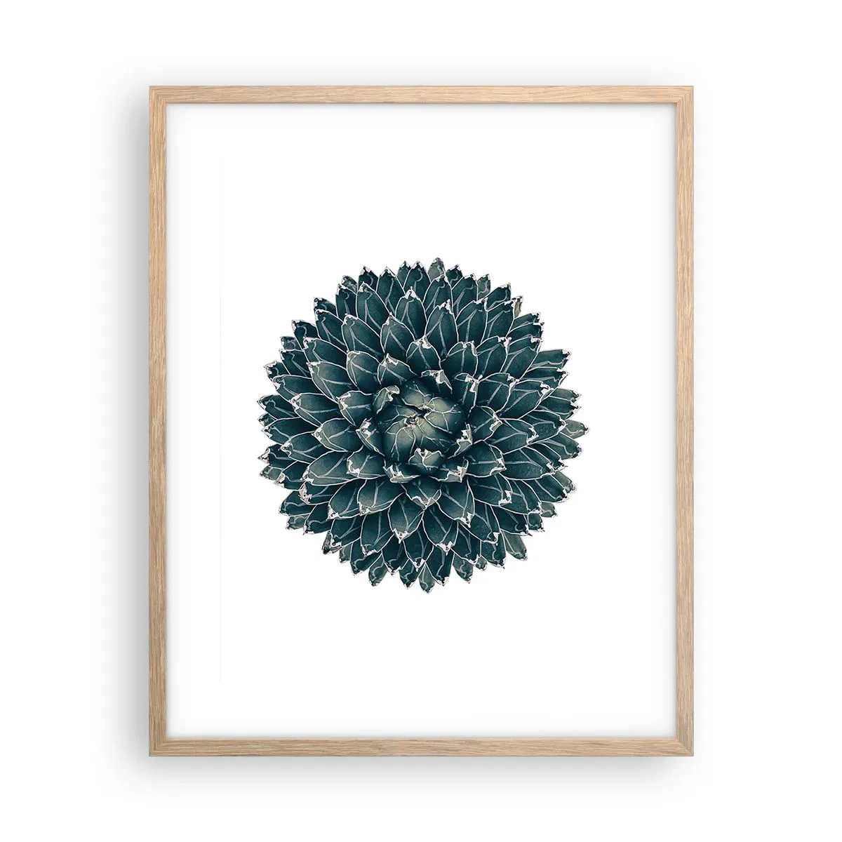 Plakat w ramie jasny dąb - Gwiazda pustyni - 40x50 cm