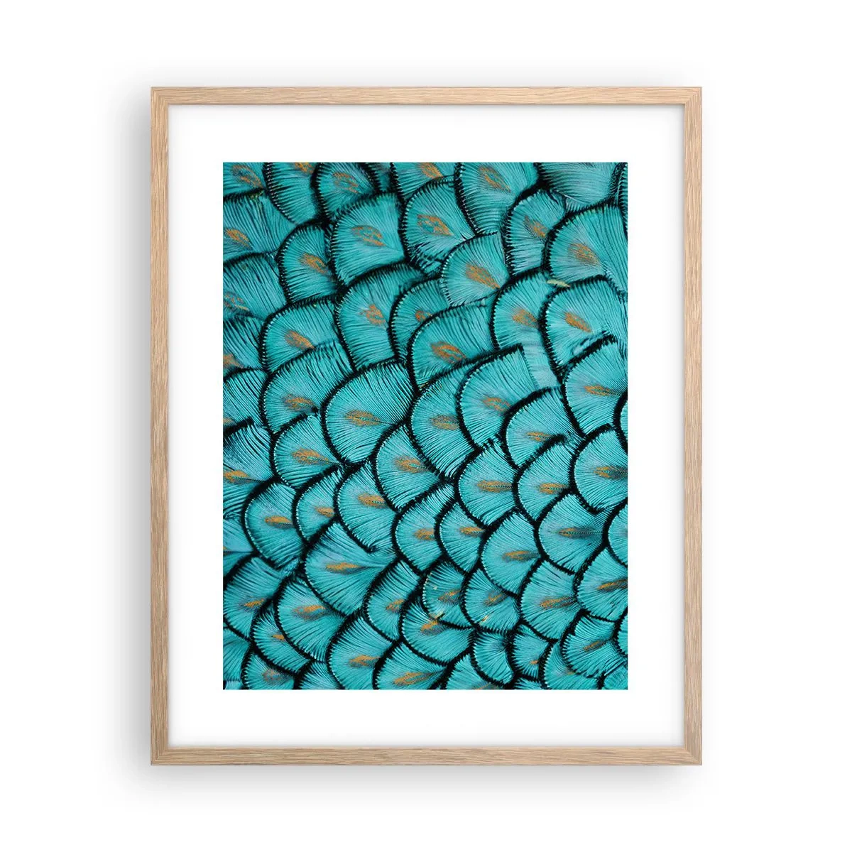 Plakat w ramie jasny dąb - Wielka gala piór - 40x50 cm